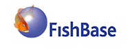 Logo de Fishbase